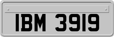 IBM3919