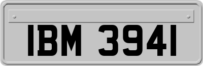 IBM3941