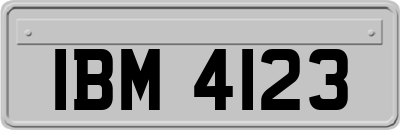 IBM4123