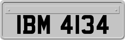 IBM4134