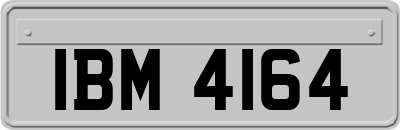 IBM4164