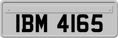 IBM4165