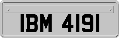 IBM4191