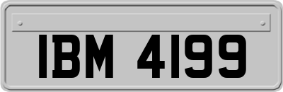 IBM4199