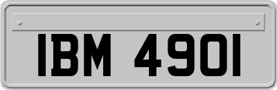 IBM4901