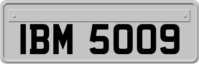 IBM5009