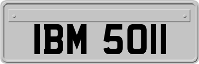 IBM5011