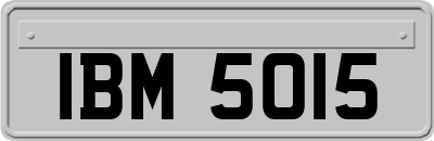 IBM5015