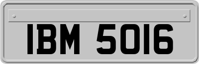 IBM5016