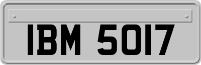 IBM5017