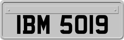 IBM5019