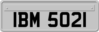 IBM5021