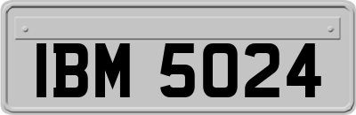 IBM5024