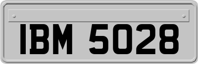 IBM5028