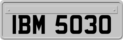 IBM5030