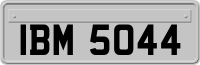 IBM5044