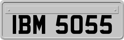 IBM5055