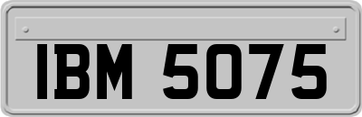 IBM5075