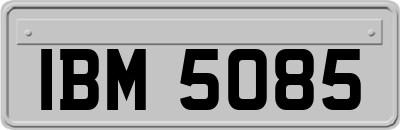 IBM5085