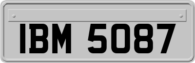 IBM5087