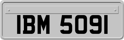 IBM5091