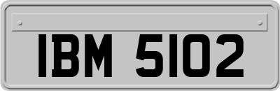 IBM5102