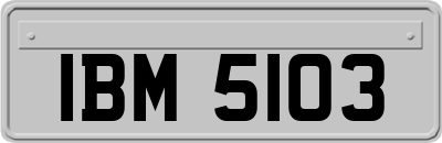 IBM5103