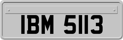 IBM5113