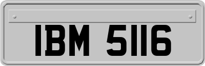 IBM5116