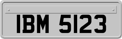 IBM5123