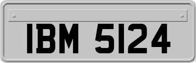 IBM5124