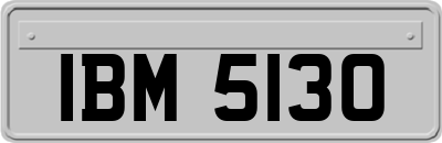 IBM5130