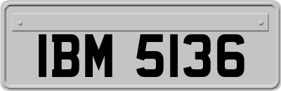 IBM5136