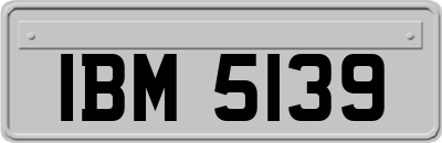 IBM5139