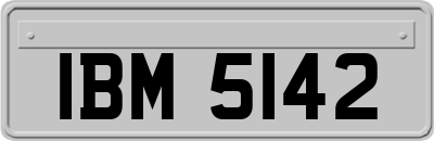 IBM5142