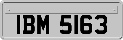 IBM5163