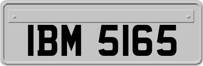 IBM5165