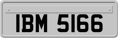 IBM5166