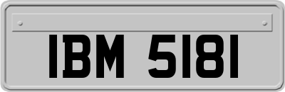 IBM5181