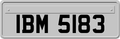 IBM5183