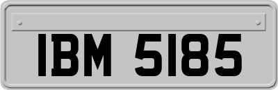 IBM5185