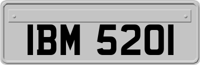 IBM5201