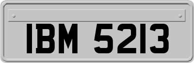 IBM5213