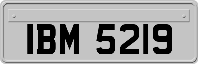 IBM5219