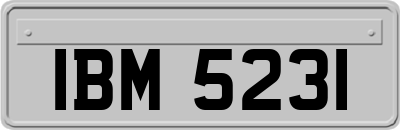 IBM5231