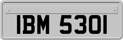 IBM5301