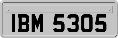 IBM5305