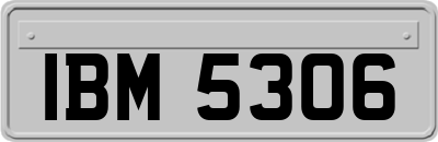 IBM5306