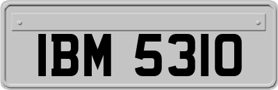 IBM5310