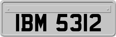 IBM5312